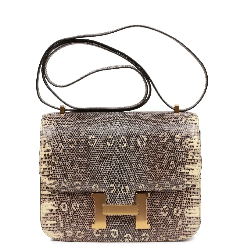 Flash Sale On Premium Bags Hermes Mini Constance 18 Ombre Lizard Varanus Salvator Gold Hardware
