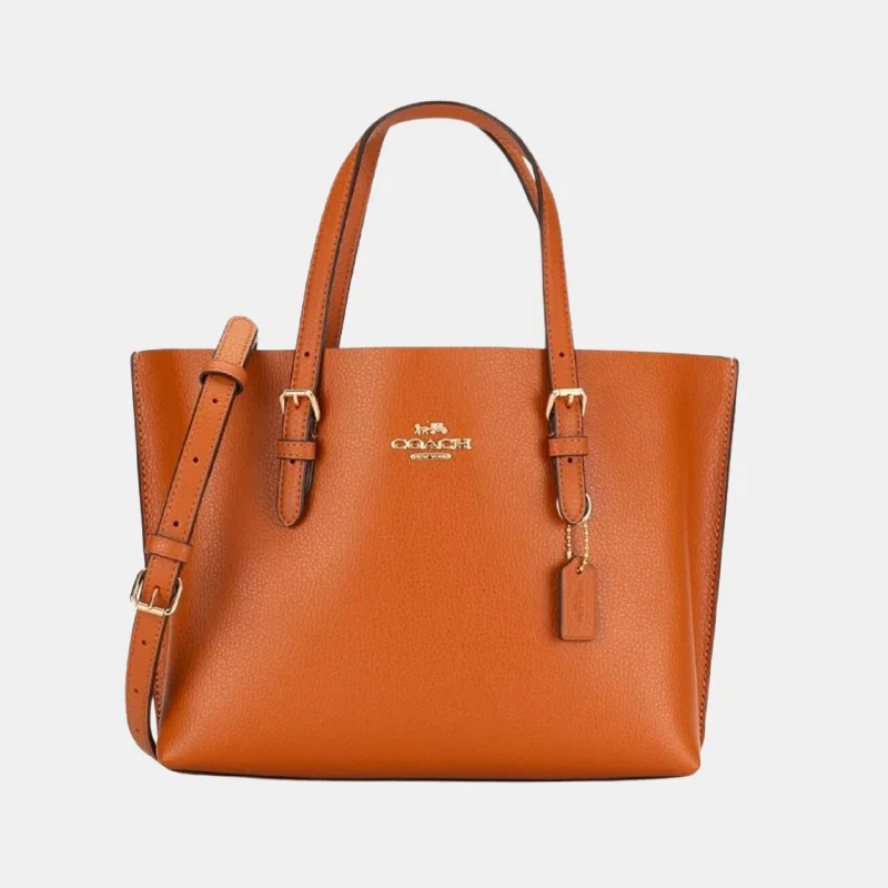Seasonal Clearance Bags For Summer Coach Mollie Tote