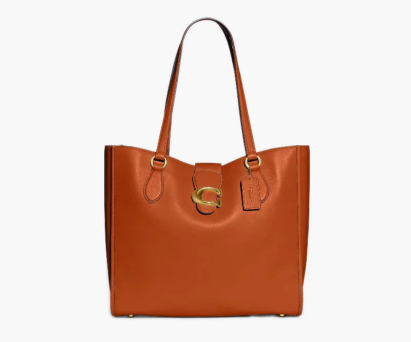 Inspired Bags For Luxury Fashion Lovers Coach – Theo Tote Large